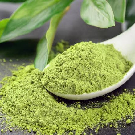 Organic Ceremonial Grade Matcha