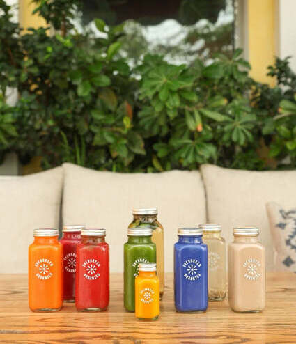 Plant-Powered Goodness